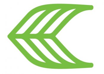 Cariuma - novinka ve světě i na eshopu Ambassadors