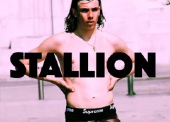 Supreme | STALLION